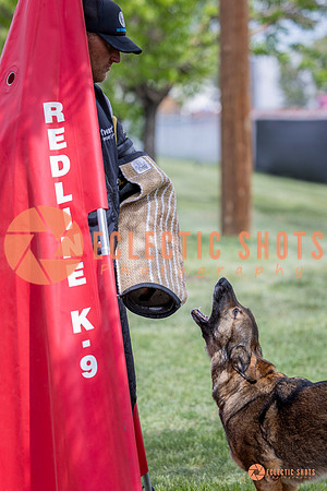 2025-K9Force-MayExams-6351