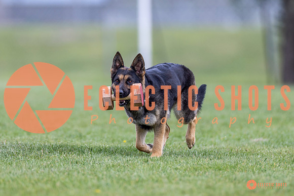 2025-K9Force-MayExams-6337