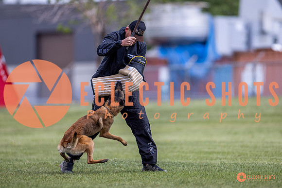 2025-K9Force-MayExams-8562