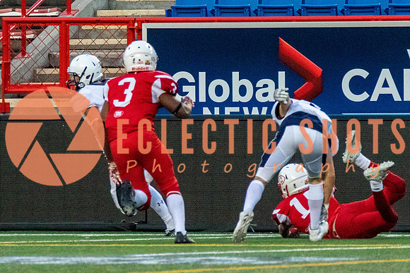 CalgaryColts2018-1513