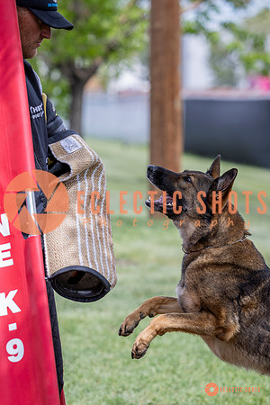 2025-K9Force-MayExams-6372