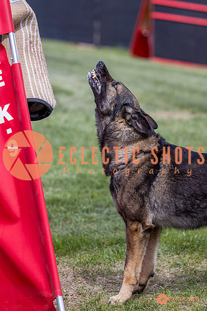 2025-K9Force-MayExams-6890