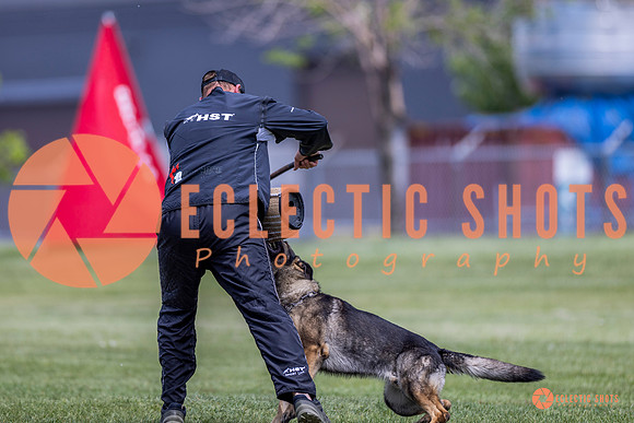 2025-K9Force-MayExams-7779