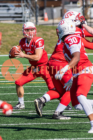 CalgaryColts-9808