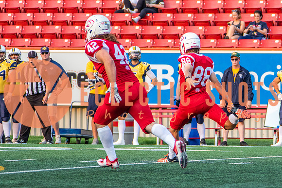CalgaryColts-2699