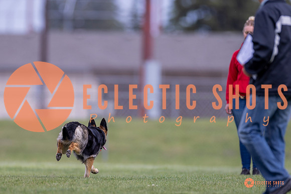 2025-K9Force-MayExams-6302