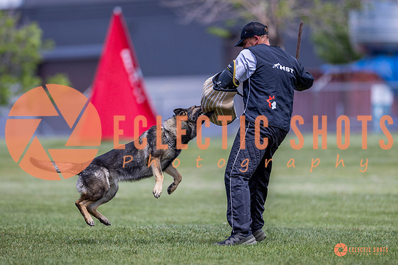 2025-K9Force-MayExams-7763