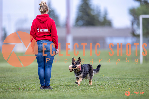2025-K9Force-MayExams-6353