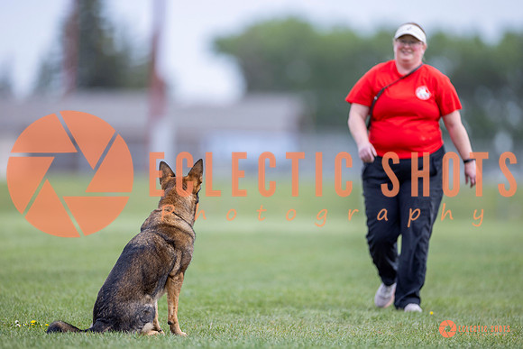 2025-K9Force-MayExams-6091
