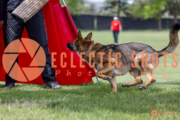 2025-K9Force-MayExams-6304