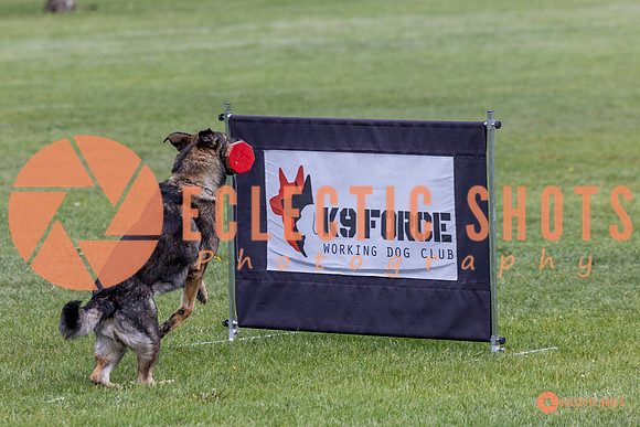 2025-K9Force-MayExams-5885