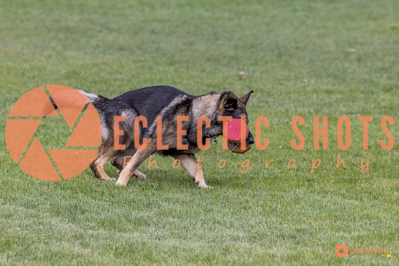 2025-K9Force-MayExams-5860
