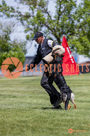 2025-K9Force-MayExams-7233