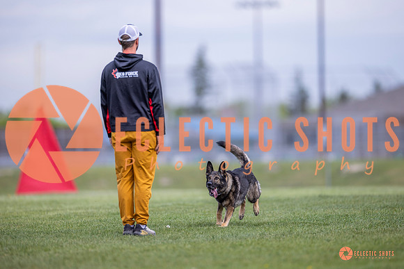 2025-K9Force-MayExams-6589