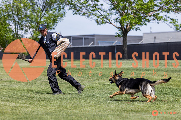 2025-K9Force-MayExams-7215