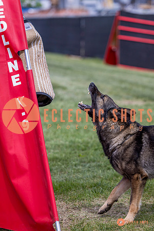 2025-K9Force-MayExams-6867