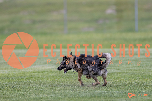 2025-K9Force-MayExams-6652