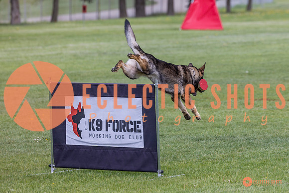 2025-K9Force-MayExams-5896