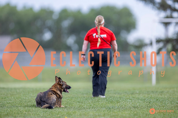 2025-K9Force-MayExams-6094