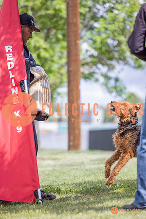 2025-K9Force-MayExams-7766