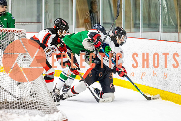 2022.11.11CalBisons-FVTBirds-4155