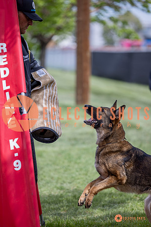 2025-K9Force-MayExams-6331