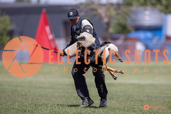 2025-K9Force-MayExams-8100