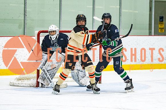 RMC2021-11-12-LloydBobcats-FVT-Birds-5975