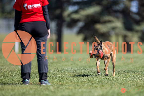 2025-K9Force-MayExams-8206