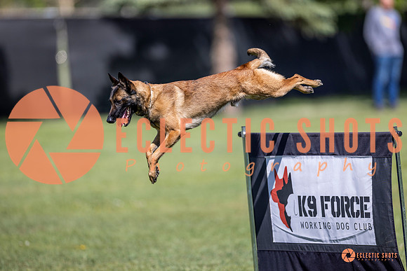 2025-K9Force-MayExams-8217