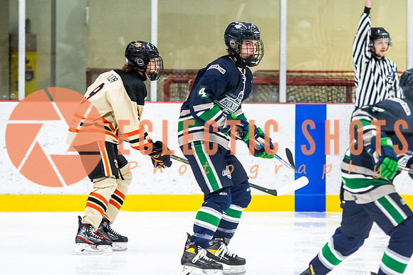 RMC2021-11-12-LloydBobcats-FVT-Birds-6025
