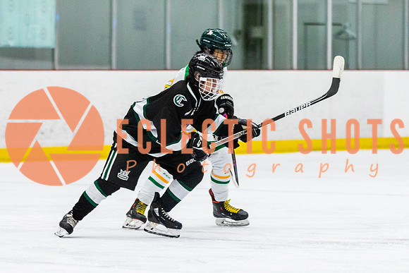 RMC2021-11-14-ShPkFlyers-CalNStars-2835