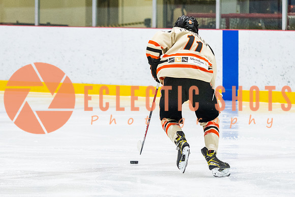 RMC2021-11-12-LloydBobcats-FVT-Birds-6016