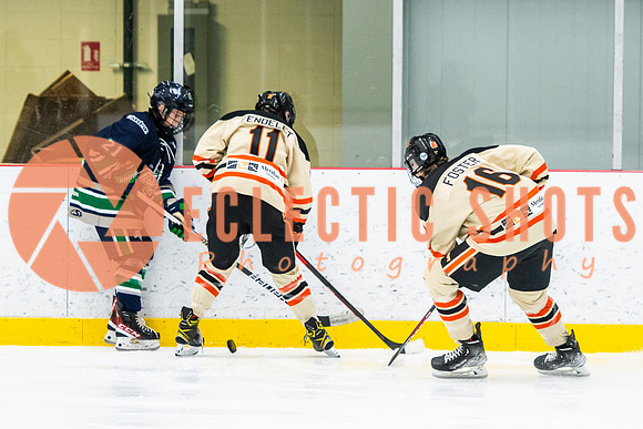 RMC2021-11-12-LloydBobcats-FVT-Birds-6011
