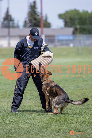 2025-K9Force-MayExams-6453