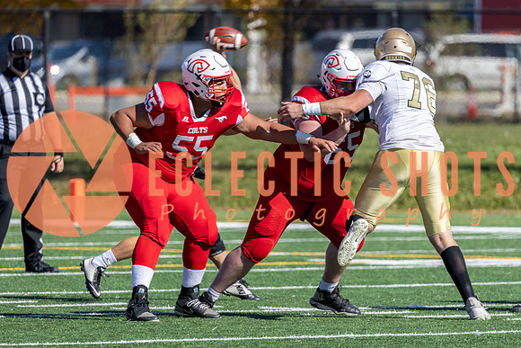 CalgaryColts-9145