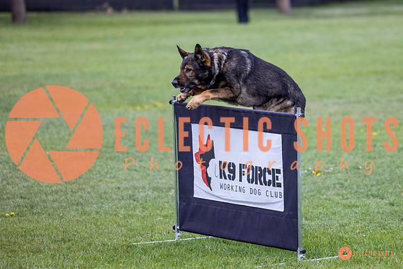 2025-K9Force-MayExams-5582
