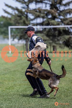 2025-K9Force-MayExams-6443