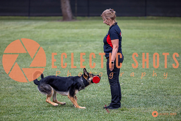 2025-K9Force-MayExams-6191