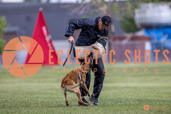 2025-K9Force-MayExams-8556