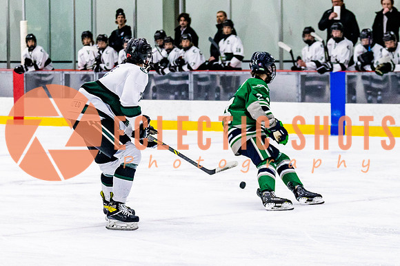 2022.11.12ShParkFlyers-FVTBirds-6962