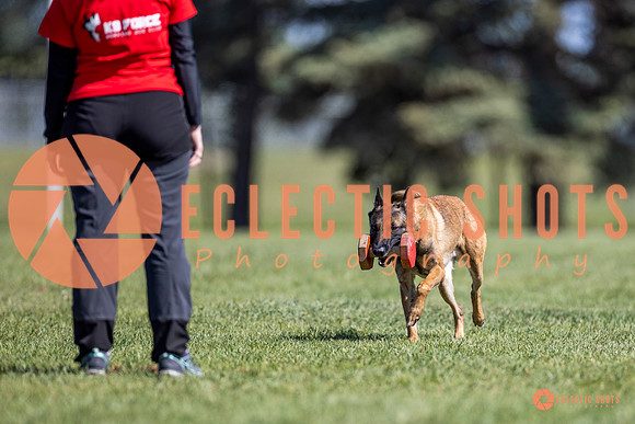 2025-K9Force-MayExams-8208