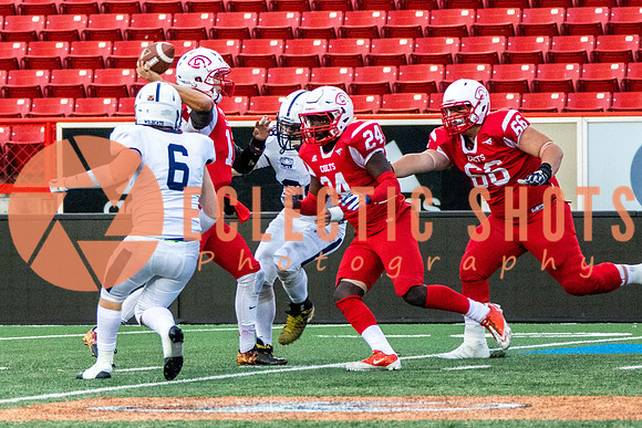 CalgaryColts2018-1331