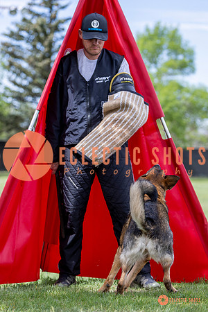2025-K9Force-MayExams-6322