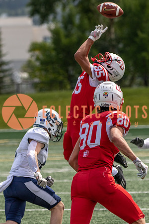 CalgaryColts2021-4846