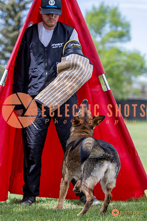 2025-K9Force-MayExams-6318