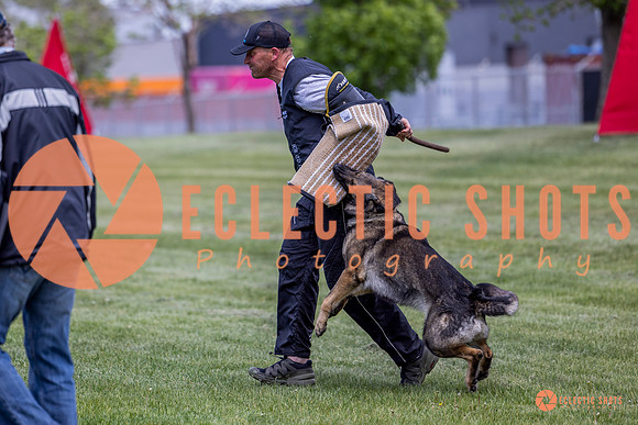 2025-K9Force-MayExams-6951