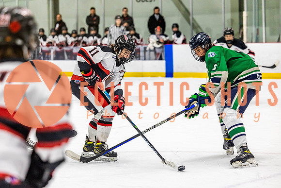 2022.11.11CalBisons-FVTBirds-4138