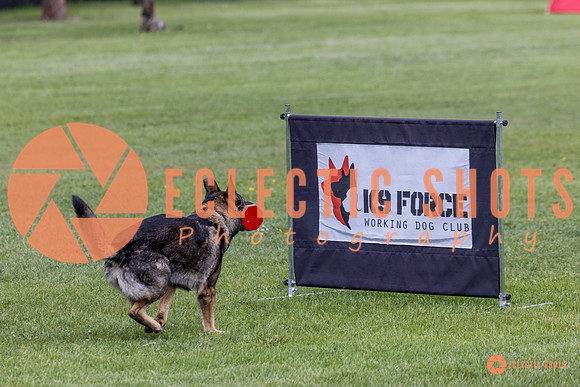 2025-K9Force-MayExams-5883