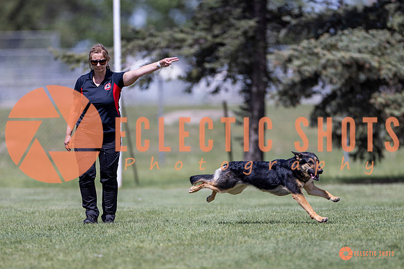 2025-K9Force-MayExams-8005